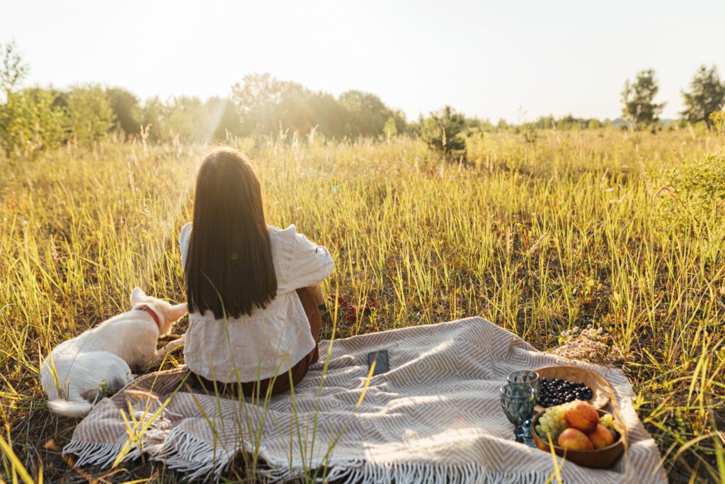 Picnic