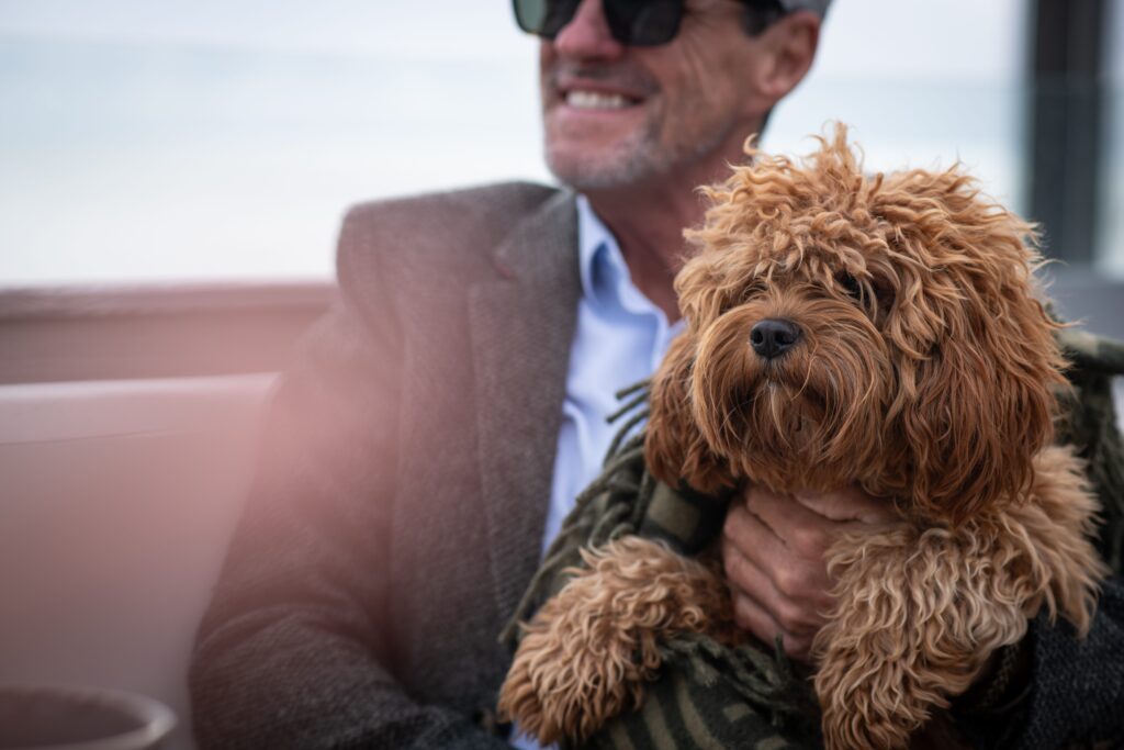 Dog-friendly