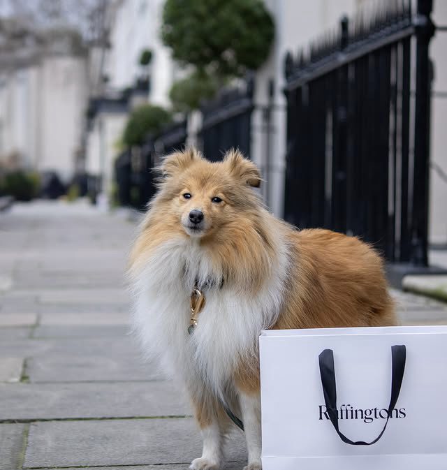 The Ultimate Socialite